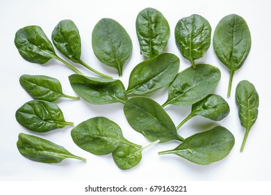 Fresh Baby Spinach Leaves On White Background