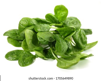 Fresh Baby Spinach On White Background