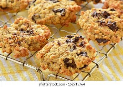 Fresh Baked Chocolate Chip Oatmeal Cookies On Metal Cooling Rack