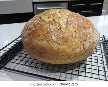 Fresh Baked Dutch Oven Bread