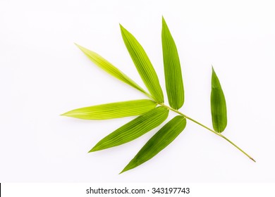 Fresh bamboo leaves border with water drop isolated on white background, botanical zen forest, tropical spa decoration, backdrop with copy space.
