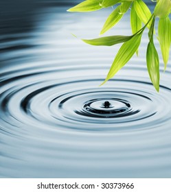 Fresh Bamboo Leaves Over Water