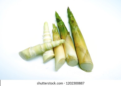 Fresh Bamboo Shoot.