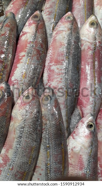 Fresh Banana Fish Pterocaesio Digramma Ikan Stock Photo Edit Now