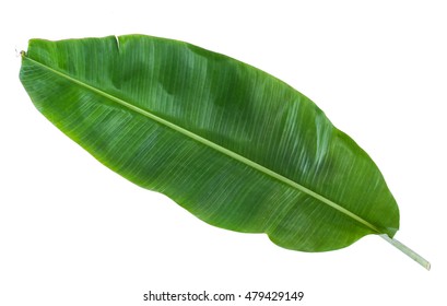 Banana Leaf Isolated Images, Stock Photos & Vectors | Shutterstock