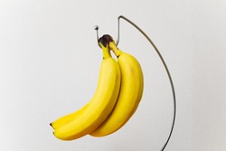 Fresh Bananas And Stainless Steel Banana Stands.