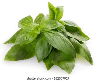 Fresh Basil Isolated On White Background