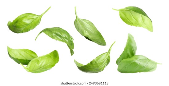 Fresh basil leaves in air on white background