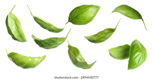 Fresh basil leaves in air on white background - Powered by Shutterstock