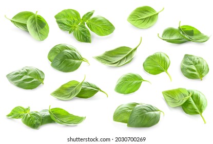 Fresh basil leaves on white background - Shutterstock ID 2030700269