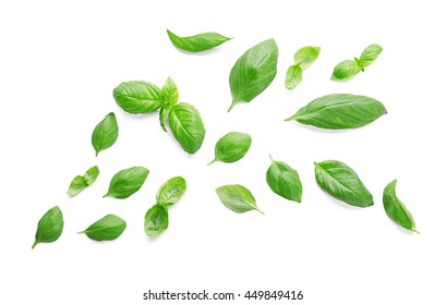 Fresh basil leaves on white background - Shutterstock ID 449849416