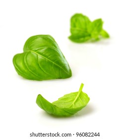 Fresh Basil Leaves On White Background