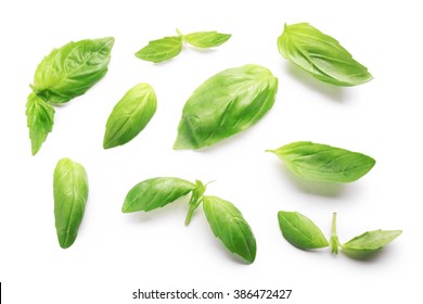 Fresh basis leaves isolated on white - Shutterstock ID 386472427