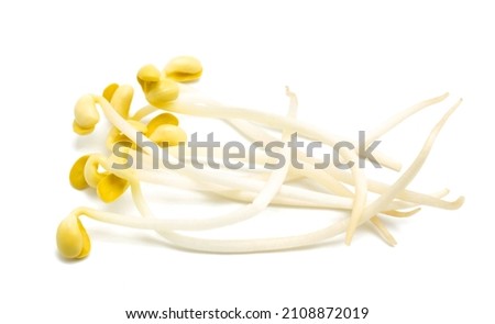 Fresh bean sprouts on white background.