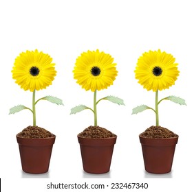 13,435 Sunflower in pot Images, Stock Photos & Vectors | Shutterstock