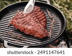 fresh beef meat prepared on a grill. porterhouse steak or T Bone Steak.