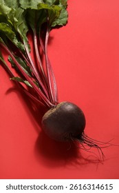 Fresh beetroot with leaves on red background