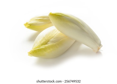 Fresh Belgian Endive Isolated On White 