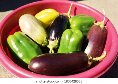 Download Eggplant And Yellow Images Stock Photos Vectors Shutterstock PSD Mockup Templates