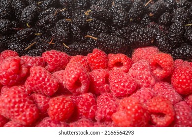 Fresh Berries Colorful Assorted Large Mix Overhead In Studio On Dark Background