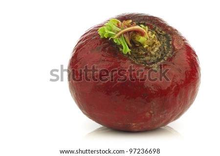 fresh big red radish on a white background
