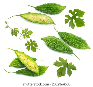 Fresh Bitter gourd with leaf isolated on white background, Balsam apple,  Balsam pear or Bitter cucumber on White Background With clipping path, 