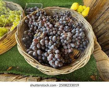 Fresh black grape bunches in bamboo basket close-up, selective focus. Organic black or purple grapes fresh raw close-up top view on market stall. Fresh summer fruits. - Powered by Shutterstock