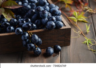 Fresh Black Grapes in Dark Wooden Tray on Wooden Table Selective focus