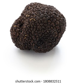 Fresh Black Truffle Isolated On White Background