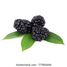 Fresh Blackberries On White Background