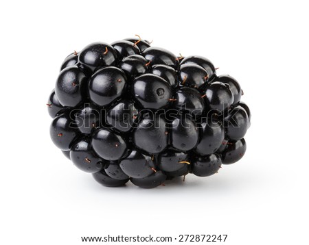 fresh blackberry berry isolated on white
