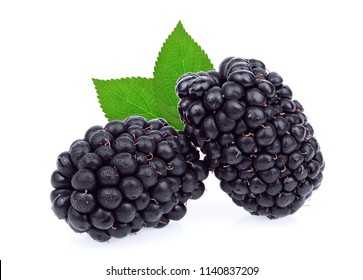 Fresh Blackberry Green Leaf Isolated On Stock Photo 1140837209 ...