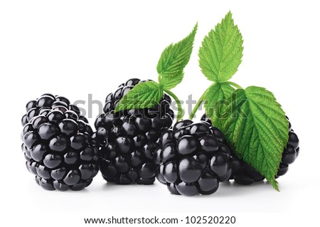 Fresh blackberry with green leaf on white background
