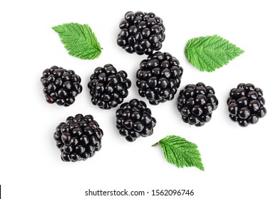 Fresh Blackberry With Leaves Isolated On White Background. Top View. Flat Lay Pattern