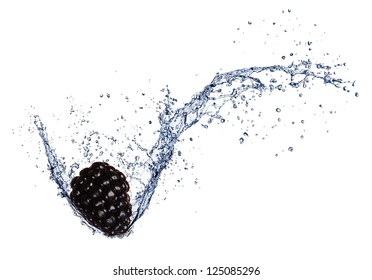  Fresh Blackberry In Water Splash, Isolated On White Background