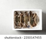 fresh blue crab in packaging container