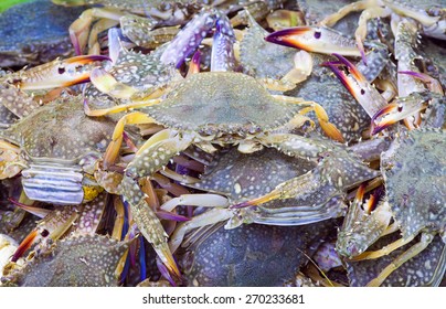 Fresh  blue crab at a seafood market.