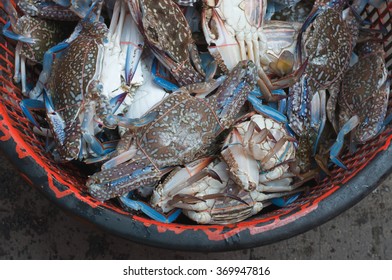 Fresh blue crabs in a basket at the seafood market - Shutterstock ID 369947816