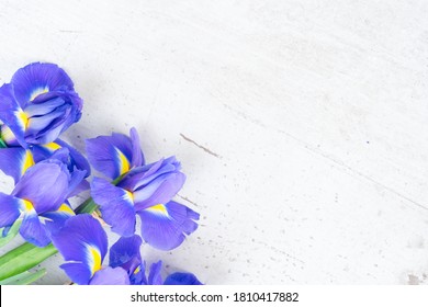 Fresh blue iris flowers on white wooden background with copy space