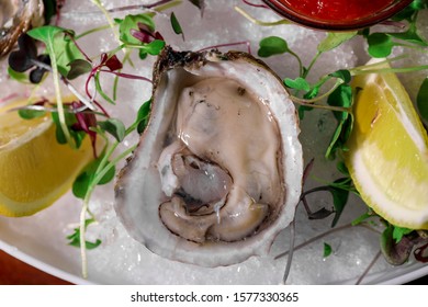 194 Blue point oysters Images, Stock Photos & Vectors | Shutterstock