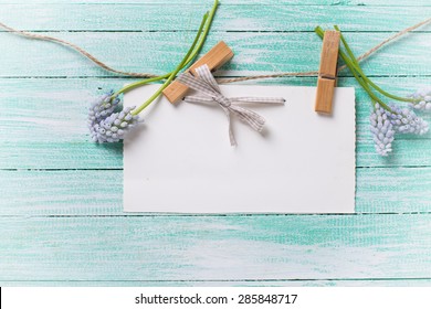 Fresh   Blue Spring Muscaries  And Empty Tag On Clothes Line On Turquoise  Painted Wooden Background. Selective Focus. Place For Text. Toned Image. 