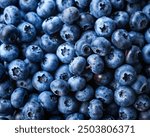 Fresh blueberries background with copy space for your text. Vegan and vegetarian concept. Macro texture of blueberry berries.Texture blueberry berries close up