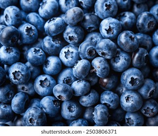 Fresh blueberries background with copy space for your text. Vegan and vegetarian concept. Macro texture of blueberry berries.Texture blueberry berries close up