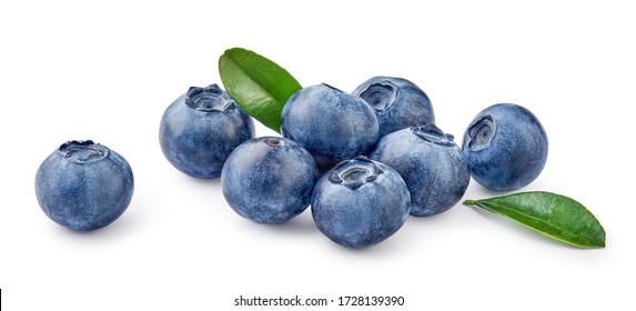 Fresh blueberries with bluberry leaves isolated on white background.