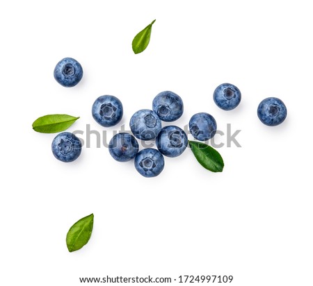 Fresh blueberries with bluberry leaves isolated on white background. Top vew.