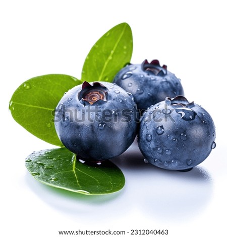 Fresh blueberries with blueberry leaves isolated on white background.