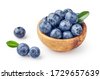 blue berry bowl