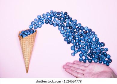 Fresh blueberries in ice cream cone on a pink background. Blueberry Blast. Summer vacation concept. Flat lay, top view. The style of natural organic food. hands picking blueberries.