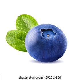 Fresh blueberries with leaves. Berry isolated on white background by clipping path. Macro.