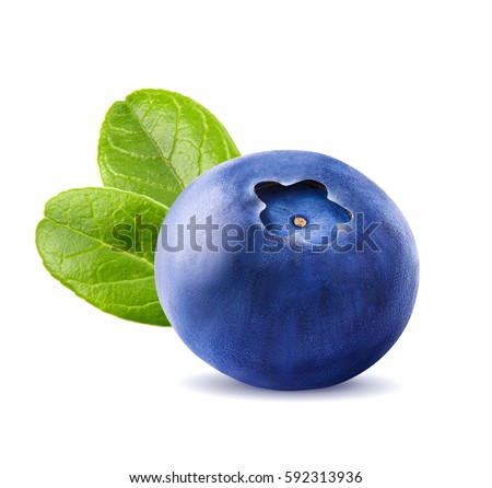 Fresh blueberries with leaves. Berry isolated on white background by clipping path. Macro.